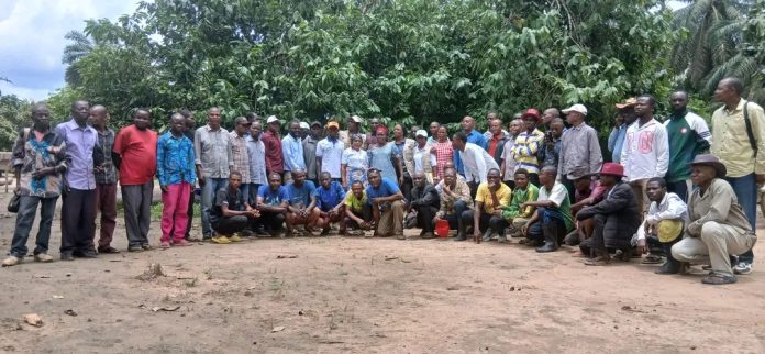 WhatsApp Image 2026-03-27 at 17.05.47 plus de 1.700 hectares de cacao plantés dans un projet alliant agriculture et reforestation